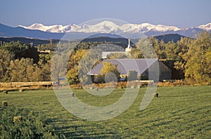 Farm and fields, CO