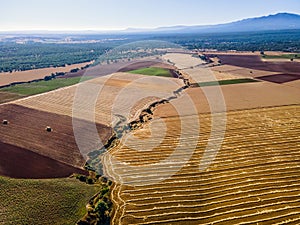 Farm fields at the foot of the mountains at sunrise on a summer day.