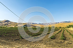 Farm fields near Corleone in Sicily, Italy