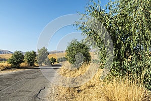 Farm fields near Corleone in Sicily, Italy