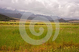 Farm fields with rugged hills in background.