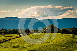 Farm fields and view of Massanutten Mountain, in the Shenandoah