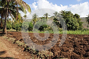 Farm fiels in Jacmel, Haiti