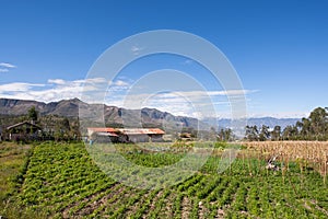 Farm (finca) On the Road to Saraguro, Ecuador photo