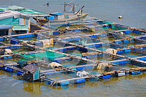 Farm for fish breeding in the southern Vietnam