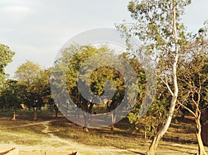 Farm, forest, forest street