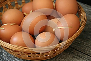 Farm Fresh Brown Eggs in Basket with Straw, Gathering Rustic Farmhouse Countryside Vintage Homestead