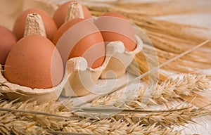 Farm-Fresh Brown Eggs in a Paper Carton