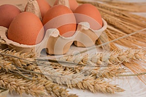 Farm-Fresh Brown Eggs in a Paper Carton