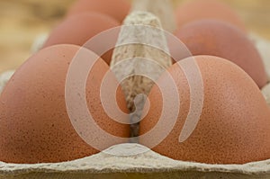 Farm-Fresh Brown Eggs in a Paper Carton