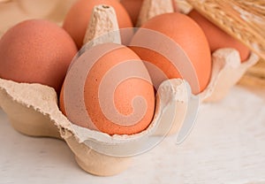Farm-Fresh Brown Eggs in a Paper Carton