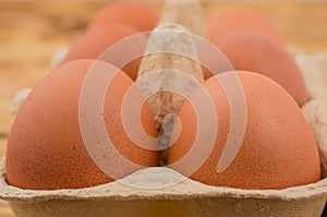 Farm-Fresh Brown Eggs in a Paper Carton