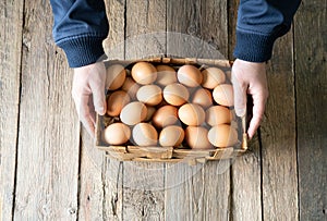 Farm fresh chicken eggs in a farmer hands.