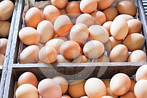 Farm Fresh Chicken Eggs in Wooden Crates