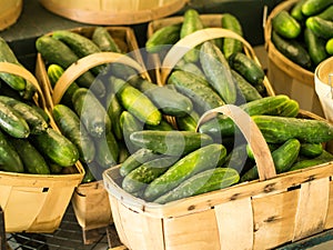 Farm Fresh Cucumbers photo