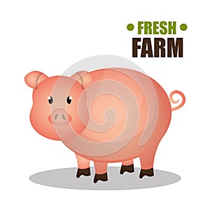 farm fresh design