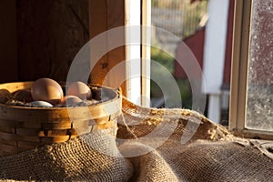 Farm fresh eggs in basket in coop