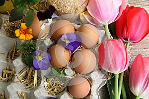 Farm Fresh Eggs, Chicken, Flowers, Countryside Farm Product, Homestead, Marigold,Homesteading, Farming.
