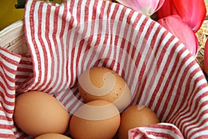 Farm Fresh Eggs, Chicken, Flowers, Countryside Farm Product, Homestead, Homesteading, Farming.