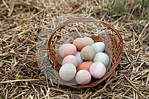 Farm fresh eggs in rustic basket on bed of straw