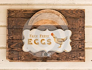 Farm fresh eggs photo