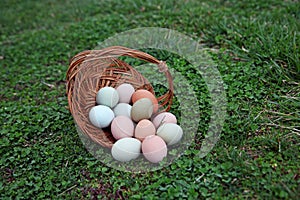 Farm fresh eggs spilling from woven basket on green clover