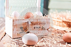 Farm fresh eggs in sunlight