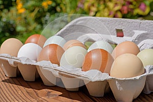 Farm fresh eggs in a variety of natural earth tone colors