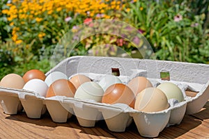 Farm fresh eggs in a variety of natural earth tone colors