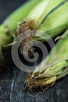 Farm fresh organic corn cob