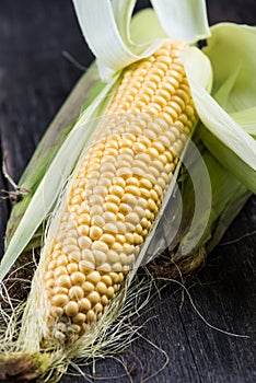 Farm fresh organic corn cob
