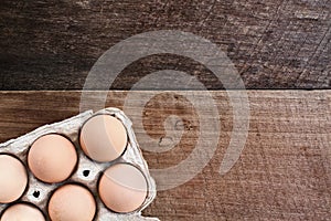 Farm Fresh Organic Eggs in Carton
