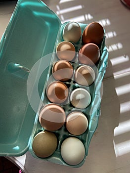Farm fresh organic eggs in a carton on a kitchen table in natural light. photo