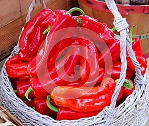 Farm Fresh Red Peppers