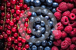 Farm fresh summer berry fruits background