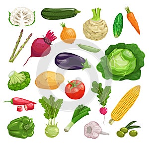 Farm fresh vegetables big set. Collection of veggies icons. Best for menu and package designs.