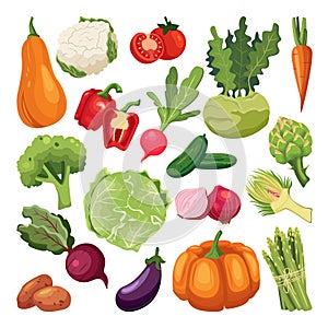 Farm fresh vegetables set. Vector flat cartoon illustration. Isolated broccoli, pumpkin, asparagus, artichoke, kohlrabi