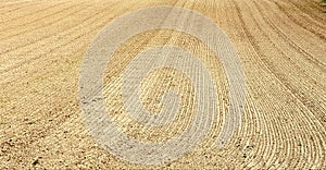 Farm freshly sewn and racked field landscape background photo