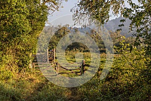 Farm gate and field with forest at sunrise