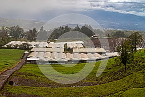 Farm with glasshouses in Alajuela Province, Costa Rica