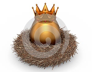 Farm gold egg with gold royal king crown in bird nest on white background
