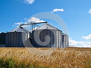 Farm grain silo photo