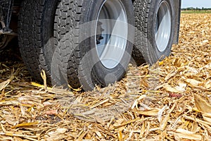 Farm grain truck tires in cornfield.