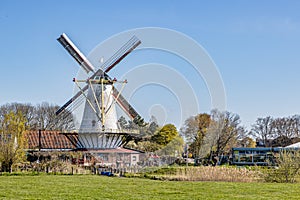 Farm with green grass with a Dutch windmill with its blades with red lines with trees in the background