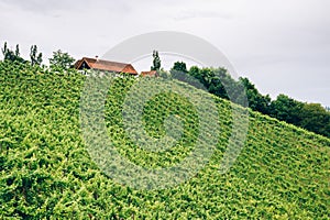 Farm on the hills of styria