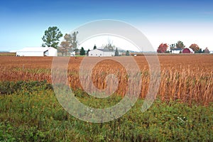 Farm house and barn