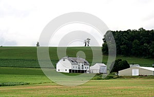 Farm House with Barn on Hill