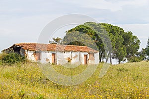 Farm house with flowers and pine trees in Vale Seco, Santiago d photo