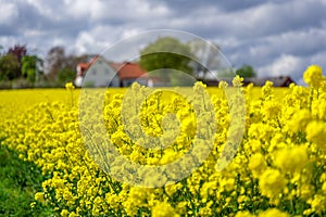 Farm house in the middle of farmland and fields, selective focuse