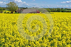 Farm house in the middle of farmland and fields, selective focuse